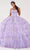 Fiesta Gowns 56494 - Floral Lace Applique Strapless Ballgown Ball Gowns