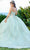 Fiesta Gowns 56498 - V-Neck Lace Applique Ballgown Ball Gowns