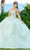 Fiesta Gowns 56498 - V-Neck Lace Applique Ballgown Ball Gowns
