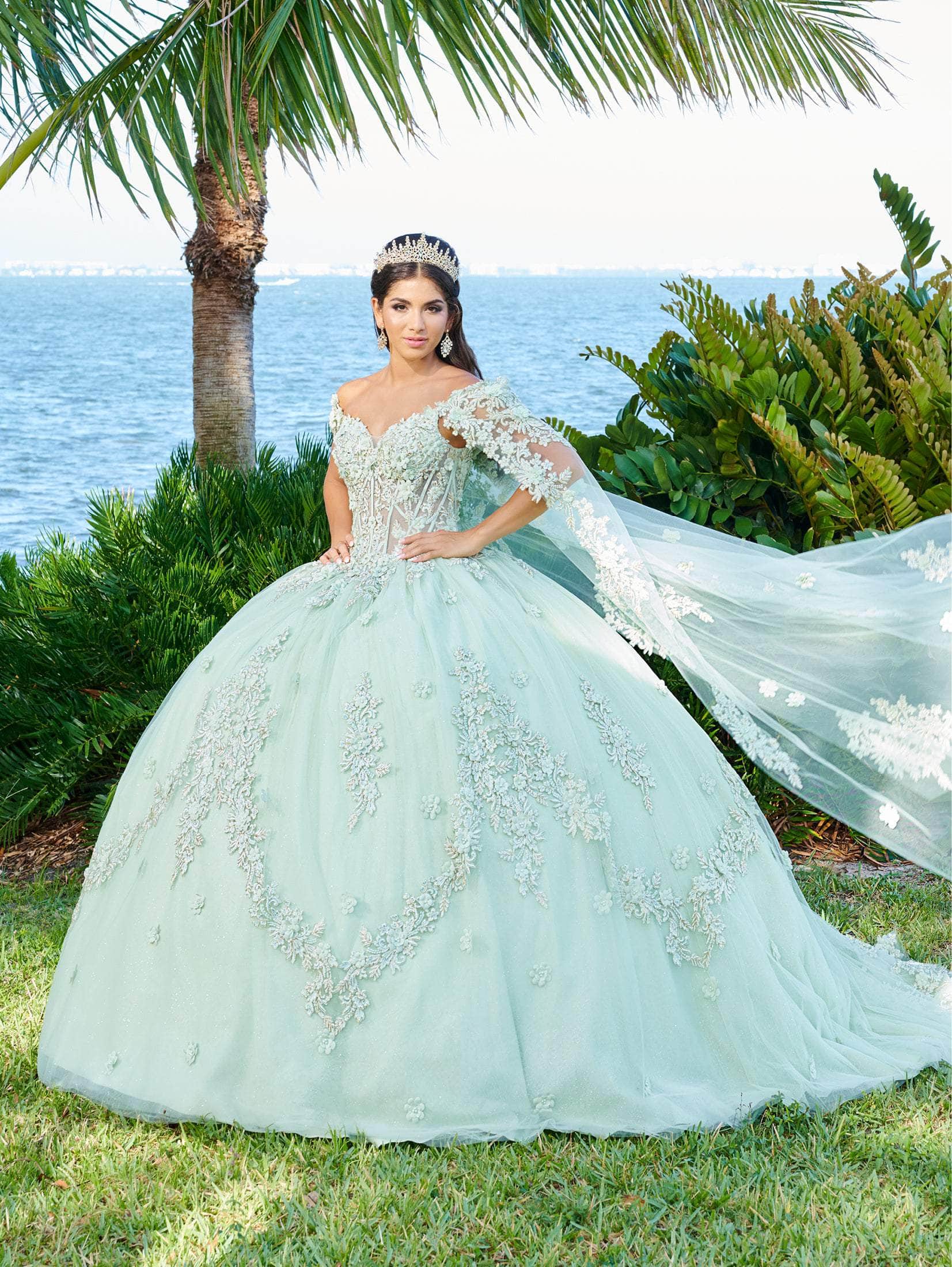 Fiesta Gowns 56498 - V-Neck Lace Applique Ballgown – Couture Candy