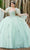 Fiesta Gowns 56500 - 3D Floral Applique Sweetheart Ballgown Ball Gowns 0 / Meadow Multi