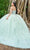 Fiesta Gowns 56500 - 3D Floral Applique Sweetheart Ballgown Ball Gowns