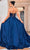 J'Adore Dresses J24015 - Lace Detailed A-Line Prom Dress Prom Dresses
