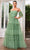 J'Adore Dresses J24043 - Straight Across Tiered Tulle Evening Gown Evening Dresses 2 / Sage
