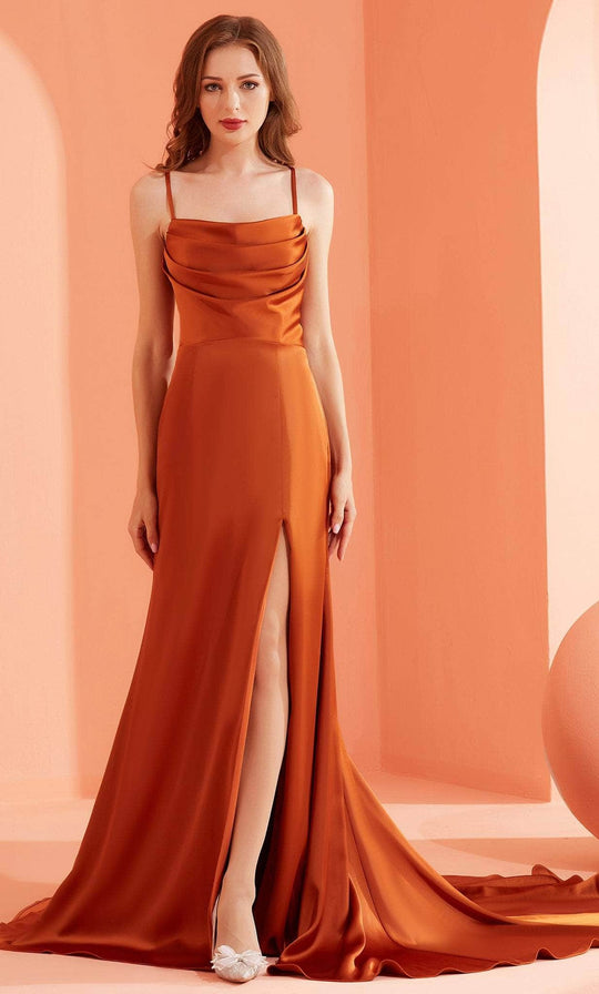 J'Adore Dresses J22054 - Sleeveless Drape Neckline Evening Dress