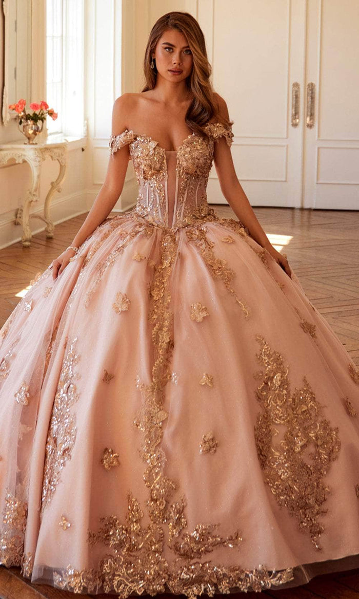 Juliet Dresses 1485J - Off Shoulder Ball Gown with Butterfly Appliques