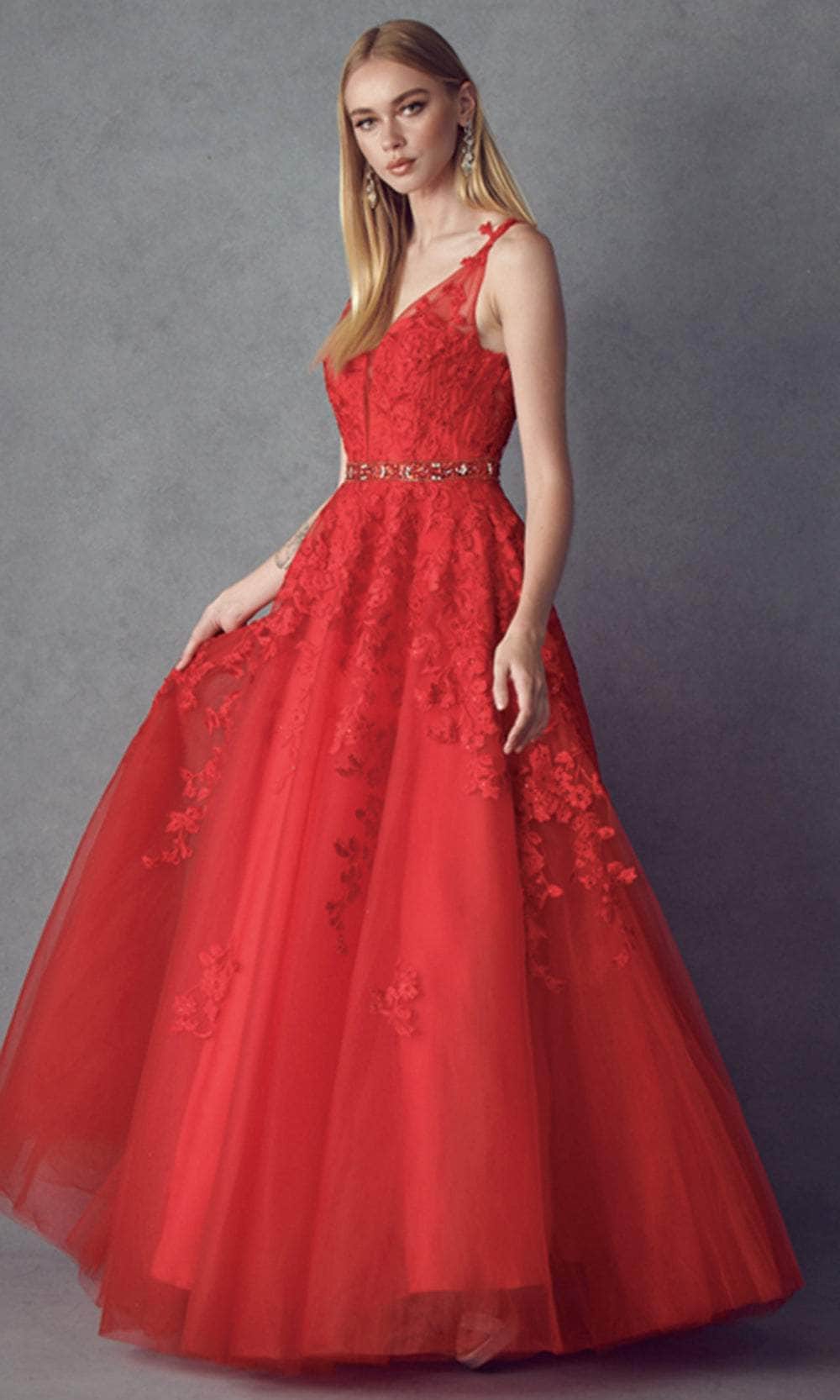 Juliet Dresses 224 - Embroidered A-Line Prom Dress – Couture Candy