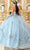 Ladivine 15714 - Strapless Floral Applique Ballgown Special Occasion Dress