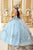 Ladivine 15714 - Strapless Floral Applique Ballgown Special Occasion Dress