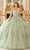 Ladivine 15714 - Strapless Floral Applique Ballgown Special Occasion Dress XS / Sage