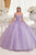 Ladivine 15717 - Floral Accented Ballgown Special Occasion Dress
