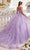 Ladivine 15717 - Floral Accented Ballgown Special Occasion Dress