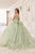 Ladivine 15718 - Butterfly Applique Ballgown Special Occasion Dress