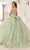 Ladivine 15718 - Butterfly Applique Ballgown Special Occasion Dress