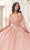 Ladivine 15719 - Applique Ornate Ballgown Special Occasion Dress