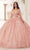 Ladivine 15719 - Applique Ornate Ballgown Special Occasion Dress XXS / Blush