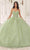 Ladivine 15719 - Applique Ornate Ballgown Special Occasion Dress XXS / Sage