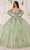 Ladivine 15722 - Puff Sleeve Ballgown Special Occasion Dress XXS / Sage