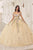 Ladivine 15724 - Multi-Color Floral Ballgown Special Occasion Dress