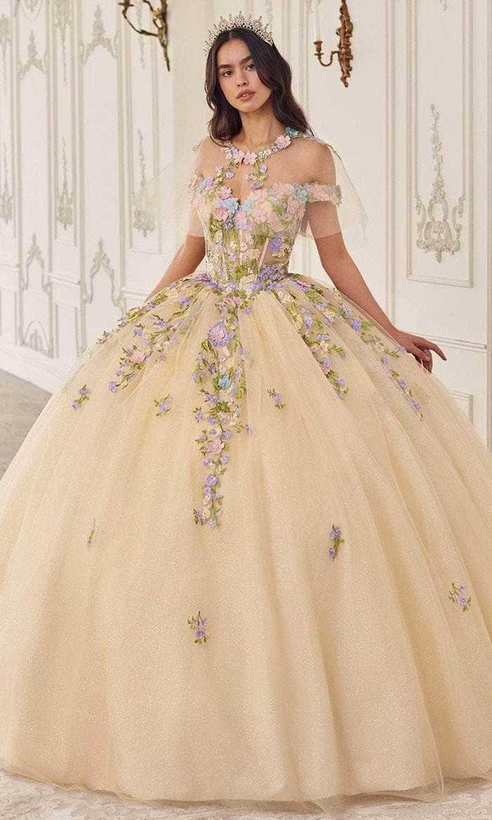 Ladivine 15724 - Multi-Color Floral Ballgown Special Occasion Dress XXS / Champagne