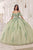 Ladivine 15725 - Applique Detailed Ballgown Special Occasion Dress