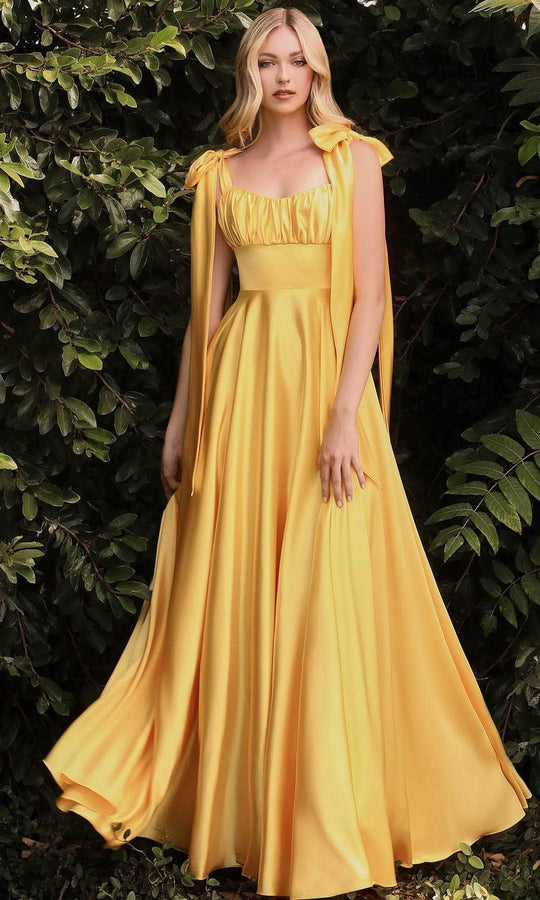 Ladivine 7490 - Soft Satin Affordable Prom A-Line Evening Dress