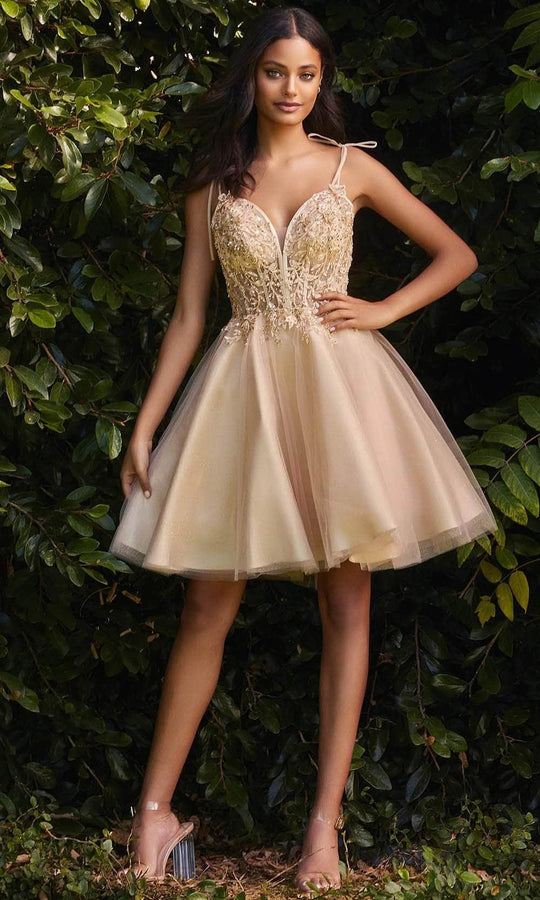 Ladivine CD0188 - Corset Applique Tulle and Lace Prom Dress
