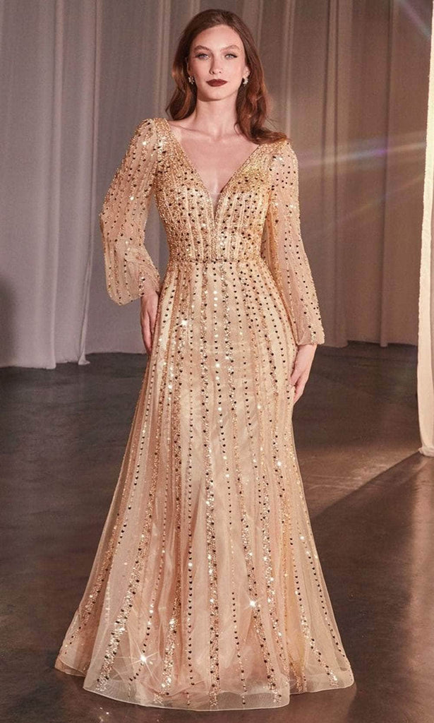 Ladivine CD0240 - Long Tulle A-Line Dress