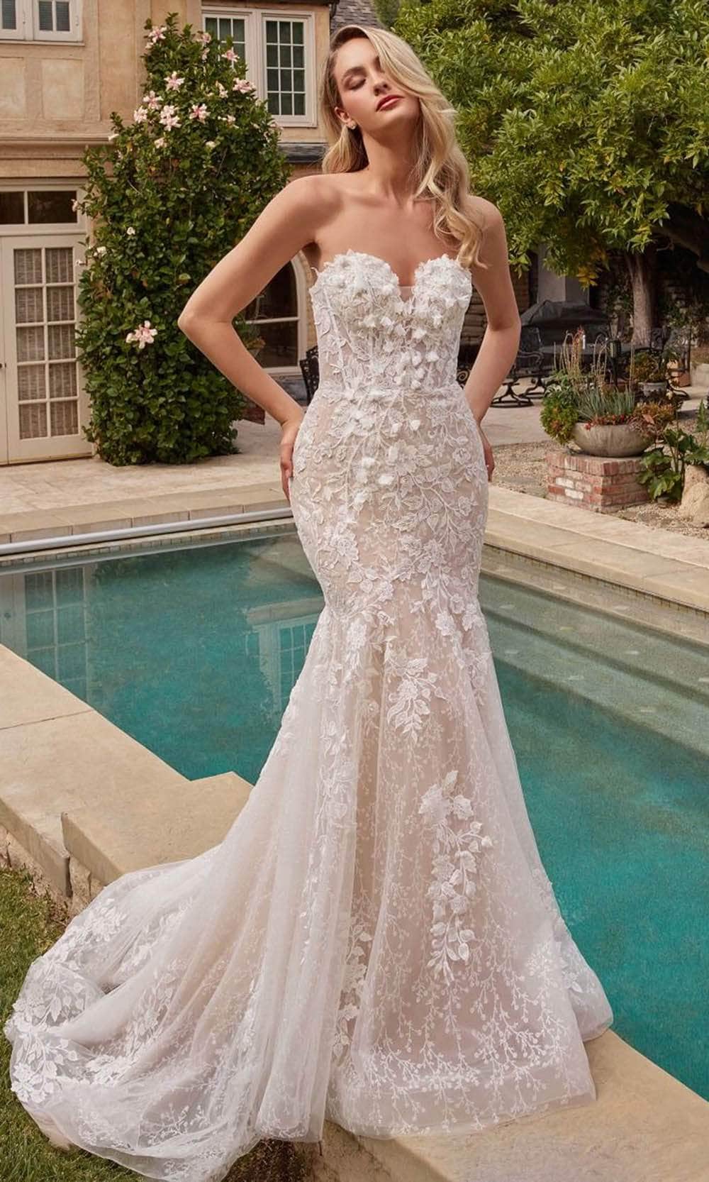 Ladivine CDS431W - Floral Applique Embellished Mermaid Bridal Gown –  Couture Candy