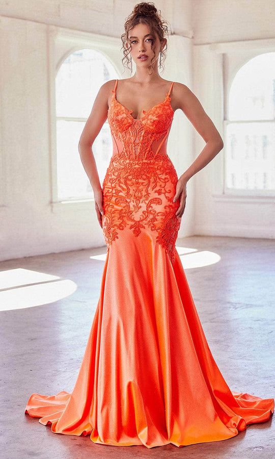 Ladivine CDS470 - Beaded Appliqued Illusion Evening Gown