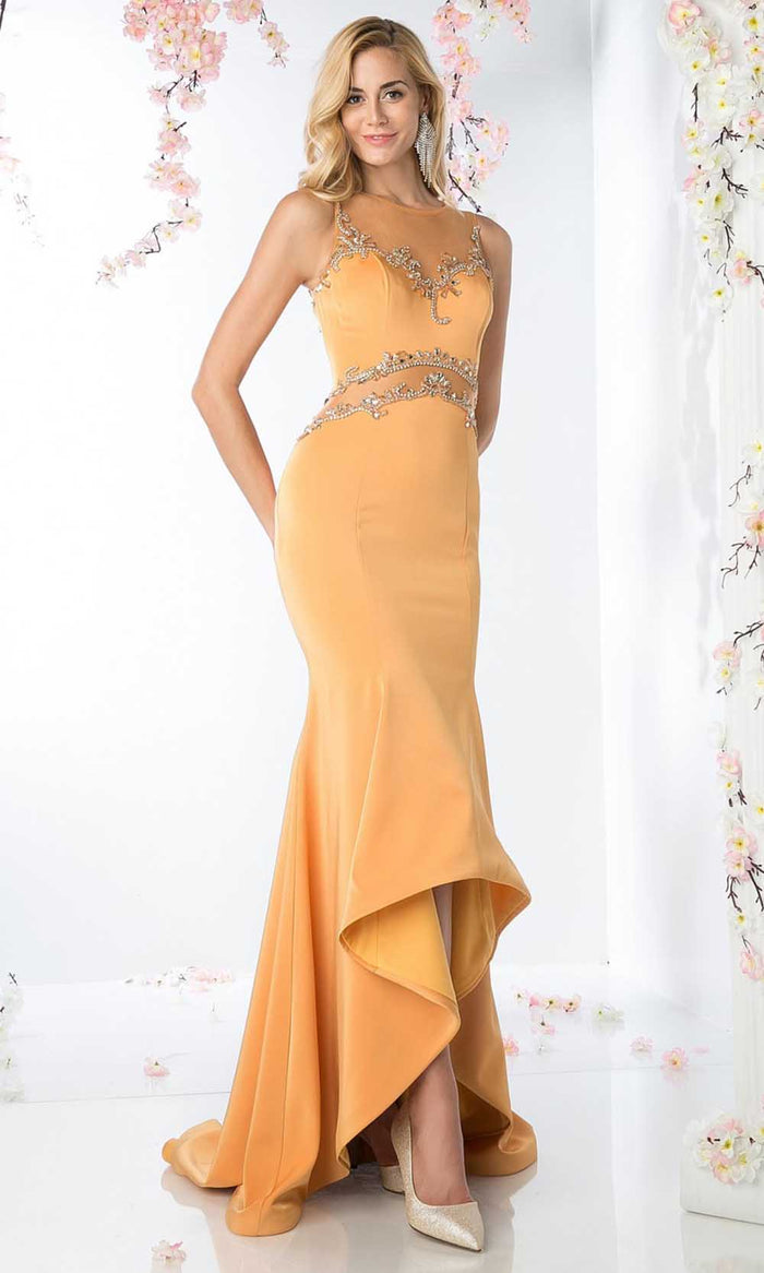 Ladivine SL765 - Illusion Sleeveless Prom Dress Special Occasion Dress 4 / Apricot