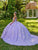 Lizluo Fiesta 56513 - Embroidered Sleeveless Corset Bodice Ballgown Special Occasion Dress