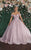 May Queen LK154 - Off Shoulder Floral Ballgown Ball Gowns 10 / Blush