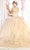 May Queen LK180 - Floral Detailed Quinceanera Ballgown Ball Gowns