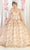 May Queen LK184 - Off-Shoulder 3D Floral Embellished Ballgown Quinceanera Dresses 2 / Champagne/Gold