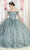 May Queen LK184 - Off-Shoulder 3D Floral Embellished Ballgown Quinceanera Dresses 2 / Sage