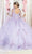 May Queen LK185 - Floral Appliqued Sleeveless Ballgown Ball Gowns 4 / Lilac