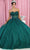 May Queen LK188 - Strapless 3D Floral Embroidered Ballgown Ball Gowns 4 / Huntergreen
