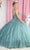May Queen LK188 - Strapless 3D Floral Embroidered Ballgown Ball Gowns 4 / Sage