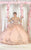 May Queen LK189 - Long Mesh Sleeve Ball Gown Ball Gowns