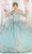 May Queen LK189 - Long Mesh Sleeve Ball Gown Ball Gowns 4 / Sage