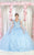 May Queen LK199 - Floral-Detailed Quinceanera Gown Ball Gowns