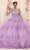 May Queen LK199 - Floral-Detailed Quinceanera Gown Ball Gowns 4 / Lilac