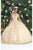 May Queen LK201 - Applique Glitter Ballgown Special Occasion Dress