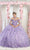 May Queen LK202 - Quinceanera Gown with Choker Necklace Ball Gowns