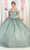 May Queen LK202 - Quinceanera Gown with Choker Necklace Ball Gowns 4 / Sage