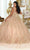 May Queen LK207 - Floral Detailed Ballgown Ball gowns