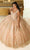 May Queen LK207 - Floral Detailed Ballgown Ball gowns