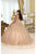 May Queen LK207 - Floral Detailed Ballgown Special Occasion Dress