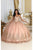 May Queen LK211 - Cape Sleeves Glitter Ballgown Special Occasion Dress